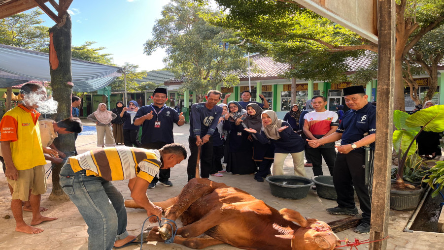 Sukses Qurban, Keluarga Besar MIN 2 Bandar Lampung Perkuat Semangat Berbagi Melalui Gotong Royong
